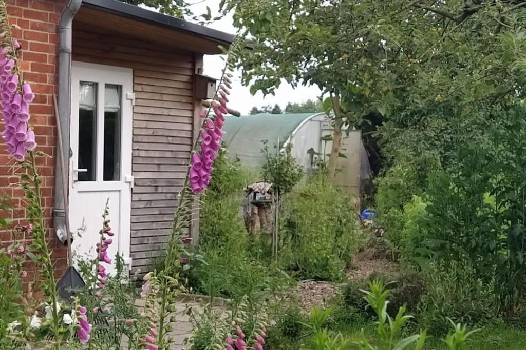 Fairschlafen - Gartenwohnung Bücken Dış mekan fotoğraf