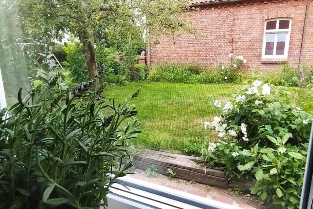 Fairschlafen - Gartenwohnung Bücken Dış mekan fotoğraf